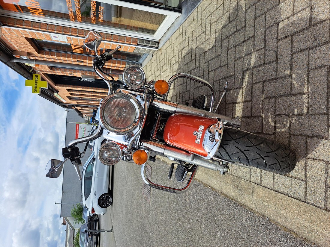 1000065784